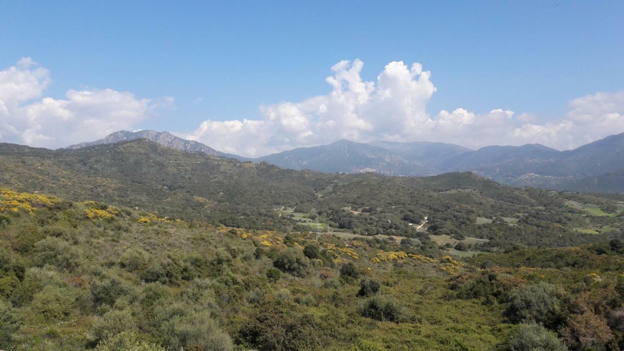 Residence Sejoina Calcatoggio  Dış mekan fotoğraf